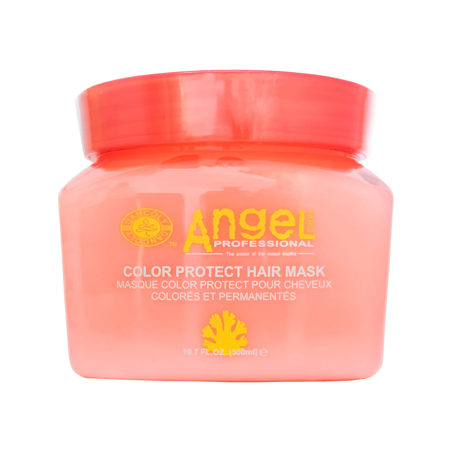 Angel Professional Color Protect Hair Mask